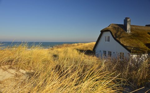 house, thatched cottage, dune