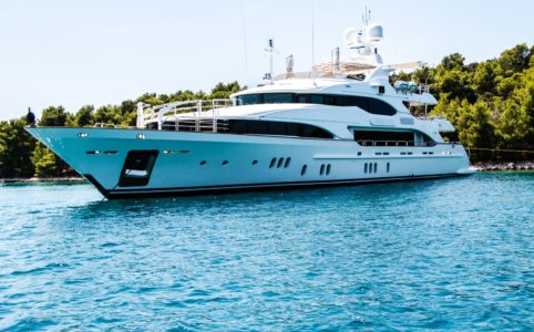 white and black yacht on body of water surrounded with tall and green trees